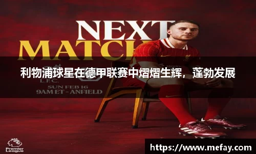 米兰体育平台