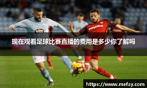 现在观看足球比赛直播的费用是多少你了解吗