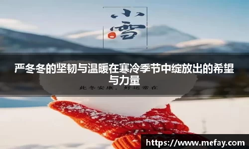 严冬冬的坚韧与温暖在寒冷季节中绽放出的希望与力量