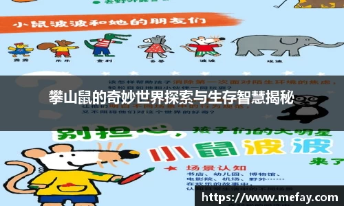 攀山鼠的奇妙世界探索与生存智慧揭秘